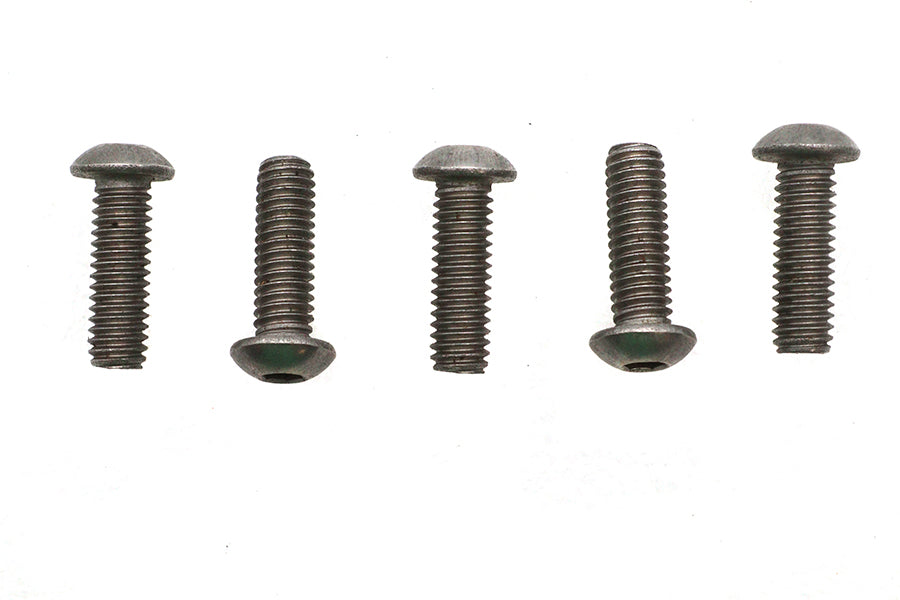 Allen Button Head Screws Stainless Steel 5/16-18 X 1",Y