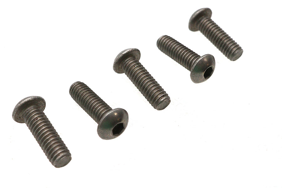 Allen Button Head Screws Stainless Steel 5/16-18 X 1",Y