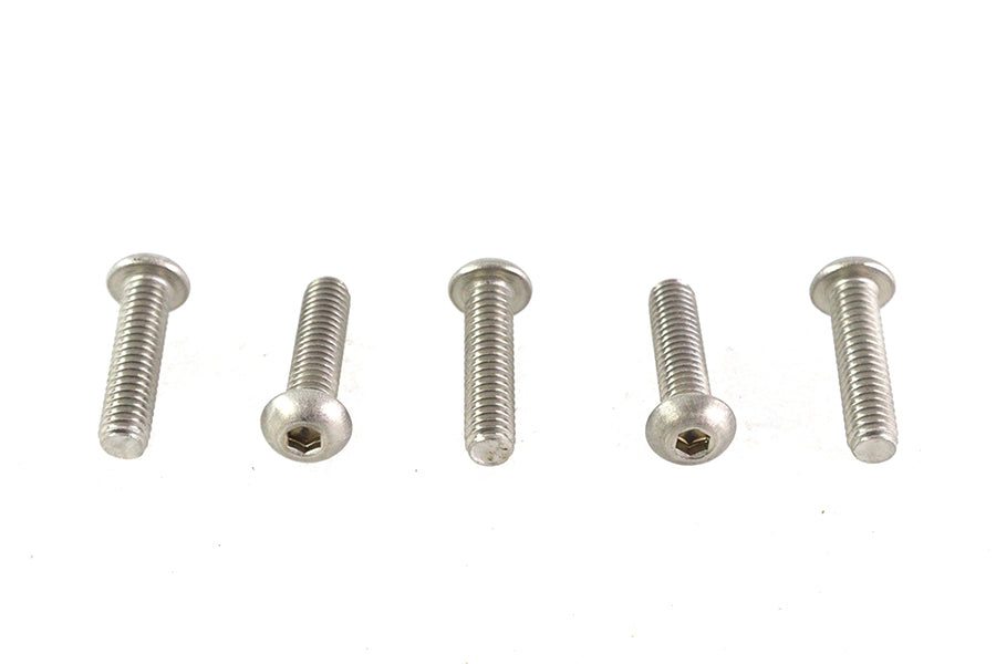 Allen Button Head Screws Stainless Steel 5/16-18 X 1-1/4",Y