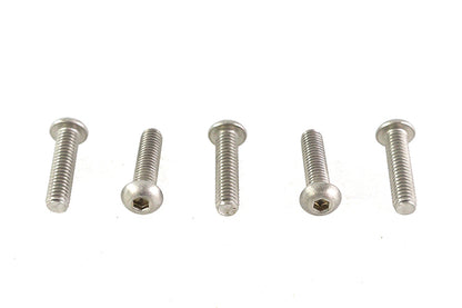 Allen Button Head Screws Stainless Steel 5/16-18 X 1-1/4",Y