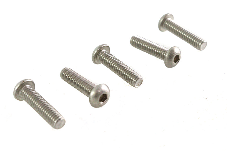 Allen Button Head Screws Stainless Steel 5/16-18 X 1-1/4",Y