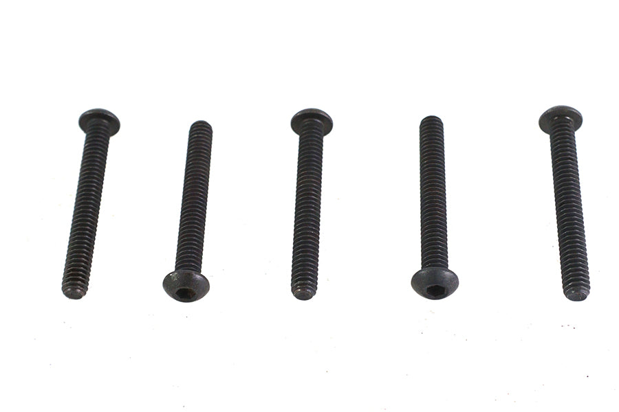 Allen Button Head Screws Black 1/4-20 X 2",Y