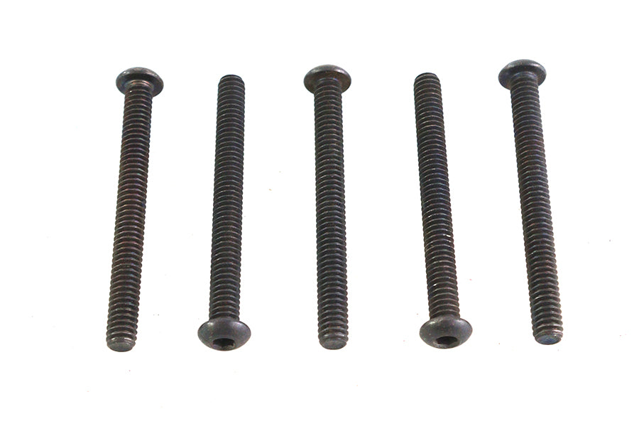 Allen Button Head Screws Black 1/4-20 X 2-1/2",Y