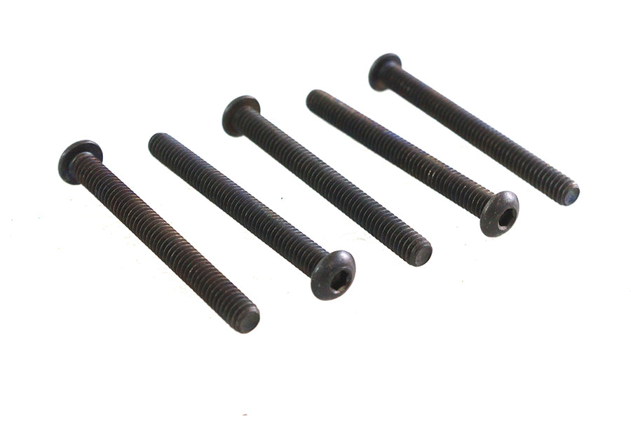 Allen Button Head Screws Black 1/4-20 X 2-1/2",Y