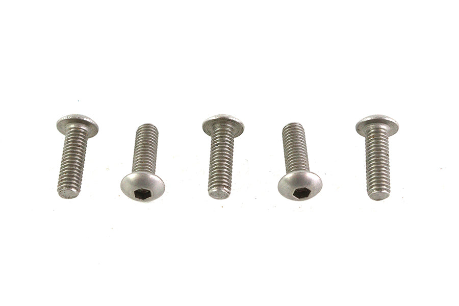 Allen Button Head Screws Stainless Steel 10-32 X 5/8",Y