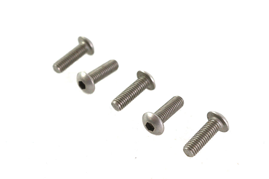 Allen Button Head Screws Stainless Steel 10-32 X 5/8",Y