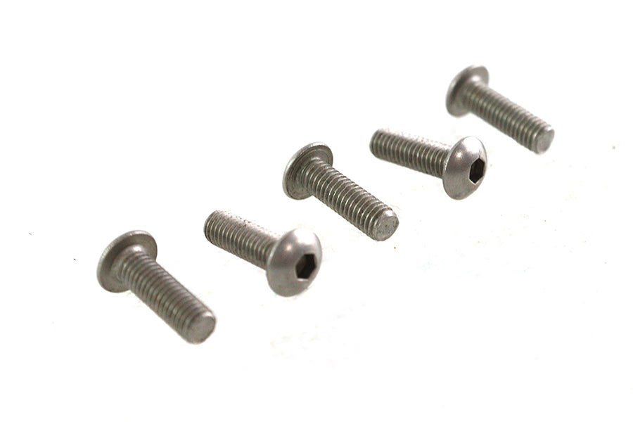 Allen Button Head Screws Stainless Steel 10-32 X 5/8",Y