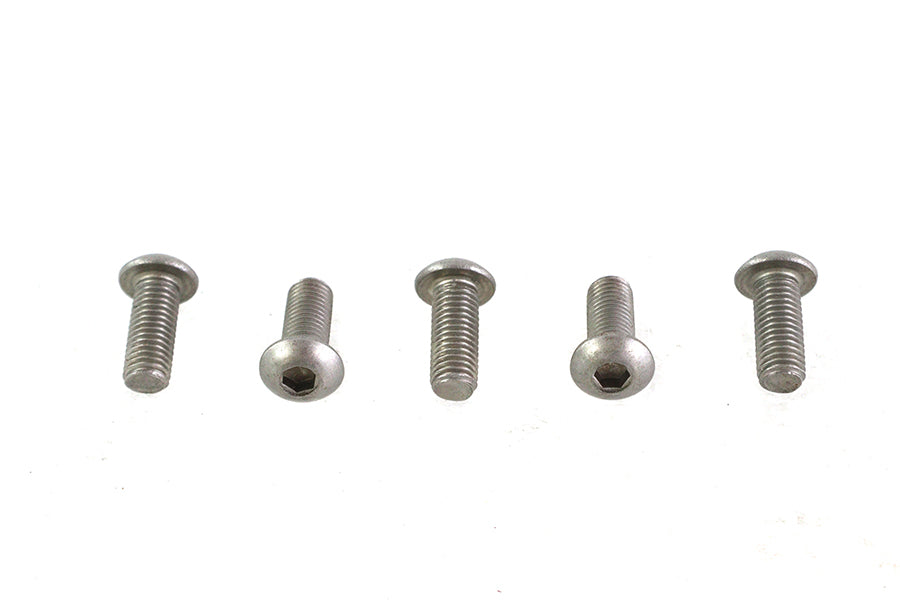 Allen Button Head Screws Stainless Steel 1/4-28 X 5/8