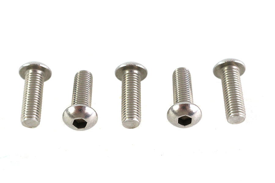 Allen Button Head Screws Stainless Steel 1/4-28 X 3/4",Y