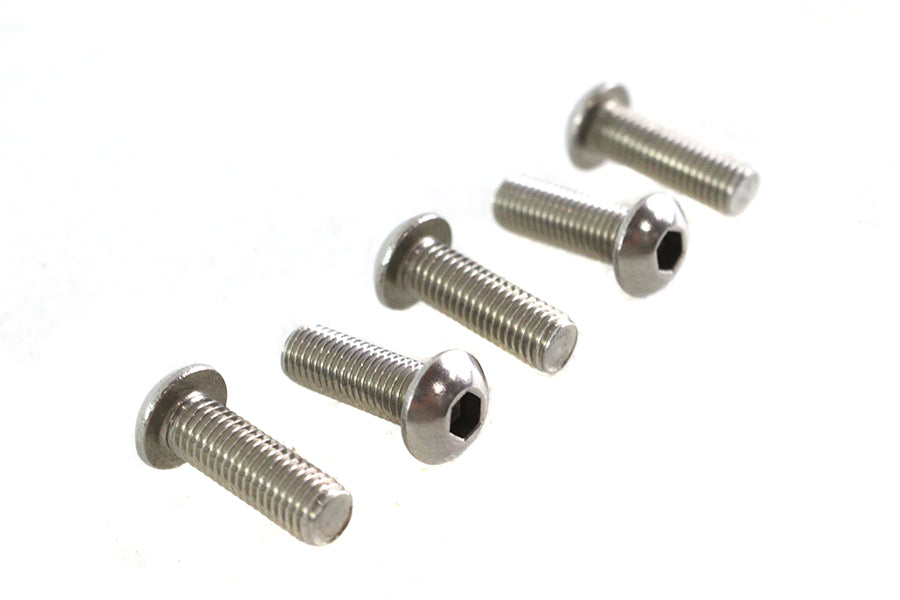 Allen Button Head Screws Stainless Steel 1/4-28 X 3/4",Y
