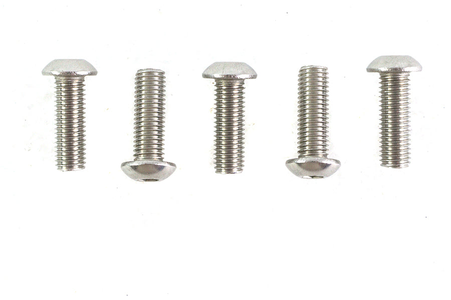 Allen Button Head Screws Stainless Steel 1/4-28 X 3/4",Y