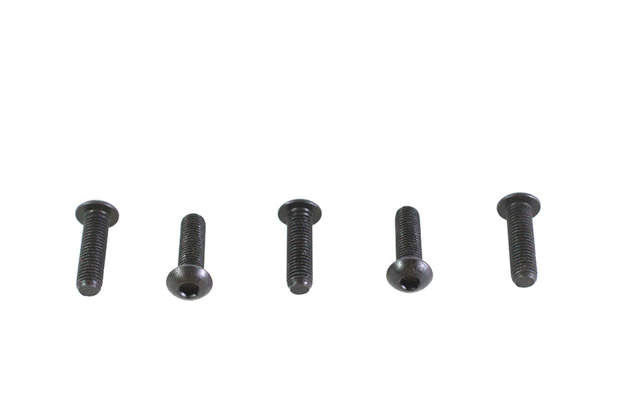 Allen Button Head Screws Black 1/4-28 X 7/8",Y