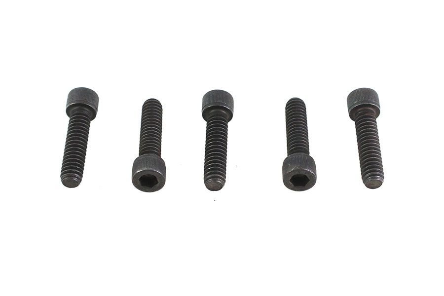 1/4-20 X 1" Allen Socket Cap Screw Black