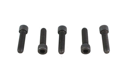1/4-20 X 1" Allen Socket Cap Screw Black