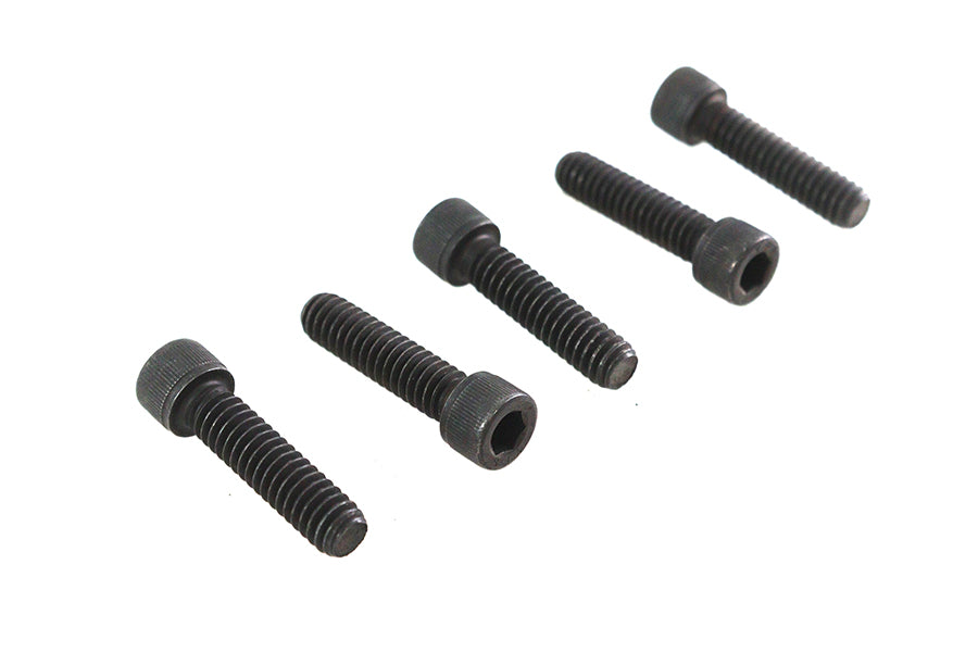1/4-20 X 1" Allen Socket Cap Screw Black