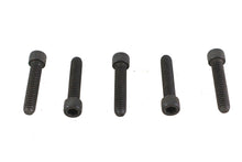 1/4-20 x 1-1/4" Allen Socket Cap Screw Black