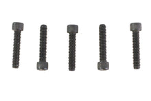 1/4-20 x 1-1/4" Allen Socket Cap Screw Black