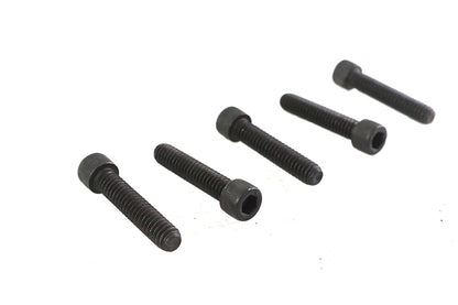 1/4-20 x 1-1/4" Allen Socket Cap Screw Black