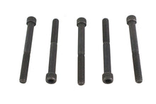 1/4-20 x 2-1/2" Allen Socket Cap Screw Black