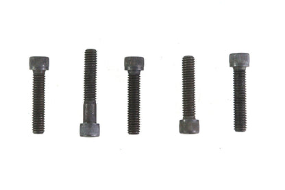 5/16-18 x 1-3/4" Allen Socket Cap Screw Black