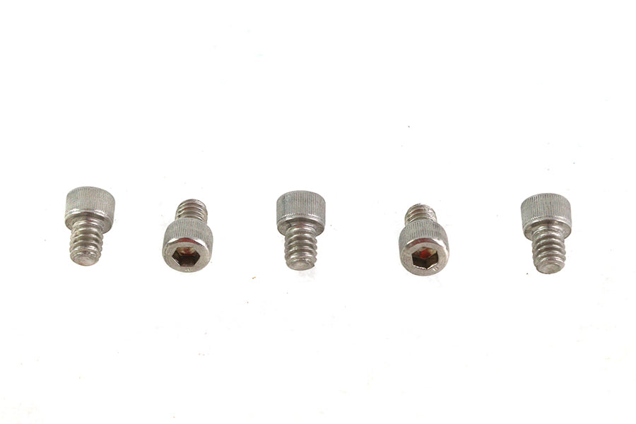 1/4-20 x 5/16" Allen Socket Cap Screw Stainless Steel