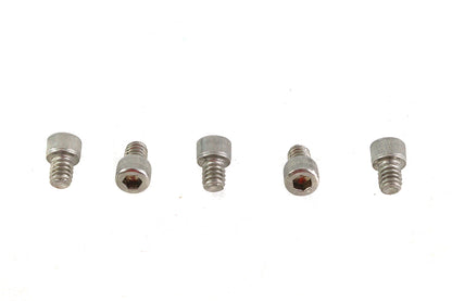 1/4-20 x 5/16" Allen Socket Cap Screw Stainless Steel