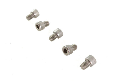 1/4-20 x 5/16" Allen Socket Cap Screw Stainless Steel