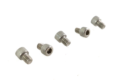 1/4-20 x 5/16" Allen Socket Cap Screw Stainless Steel