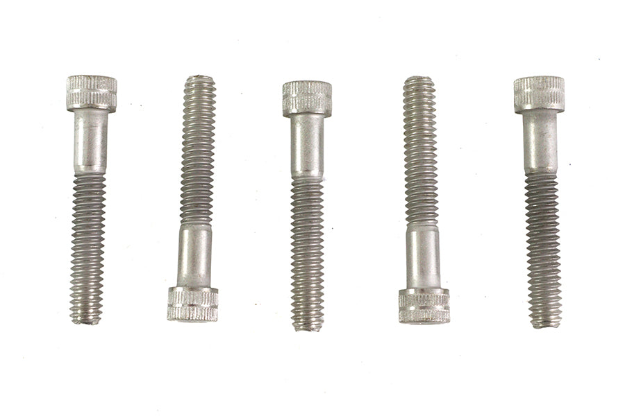 1/4-20 x 1-5/8" Allen Socket Cap Screw Stainless Steel