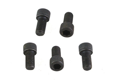 5/16-24 x 5/8" Allen Socket Cap Screw Black