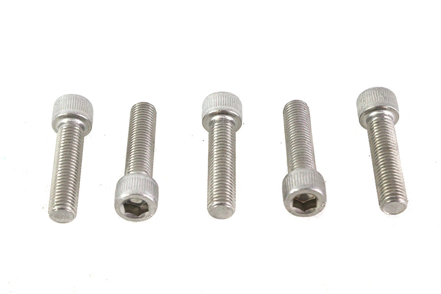 5/16-24 x 1-1/4" Allen Socket Cap Screw Stainless Steel