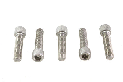 5/16-24 x 1-1/4" Allen Socket Cap Screw Stainless Steel