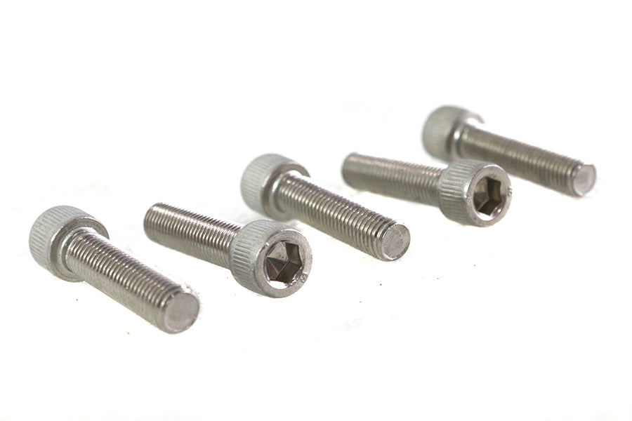 5/16-24 x 1-1/4" Allen Socket Cap Screw Stainless Steel