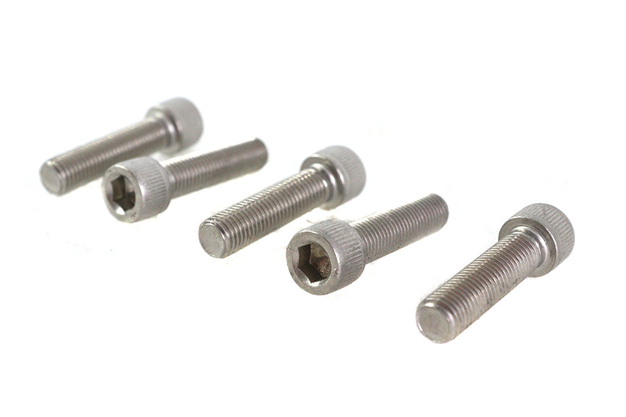 5/16-24 x 1-1/4" Allen Socket Cap Screw Stainless Steel