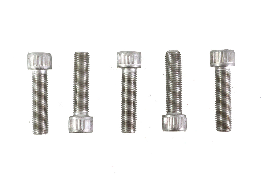 5/16-24 x 1-1/4" Allen Socket Cap Screw Stainless Steel