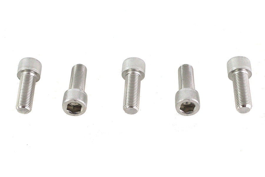 3/8-24 x 1" Allen Socket Cap Screw Stainless Steel