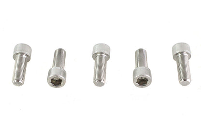 3/8-24 x 1" Allen Socket Cap Screw Stainless Steel