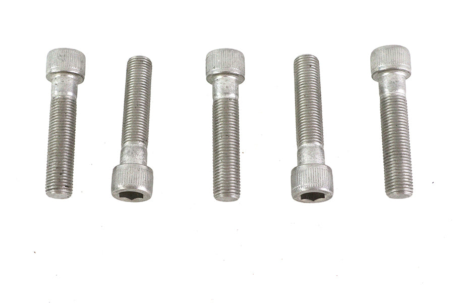 3/8-24 x 1-3/4" Allen Socket Cap Screw Stainless Steel