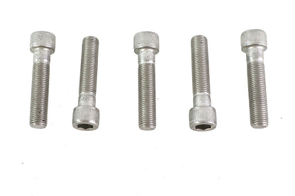 3/8-24 x 1-3/4" Allen Socket Cap Screw Stainless Steel