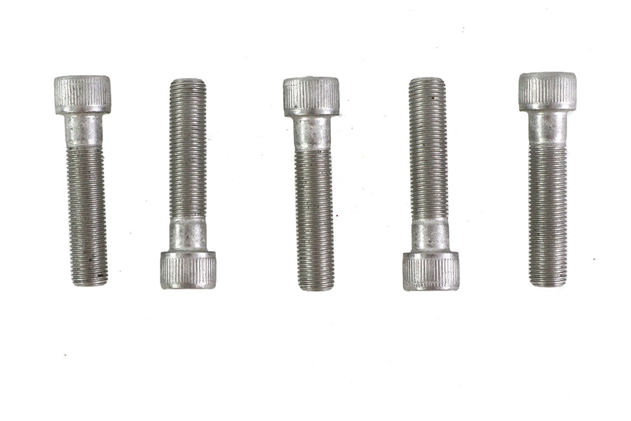 3/8-24 x 1-3/4" Allen Socket Cap Screw Stainless Steel