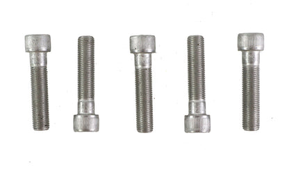 3/8-24 x 1-3/4" Allen Socket Cap Screw Stainless Steel