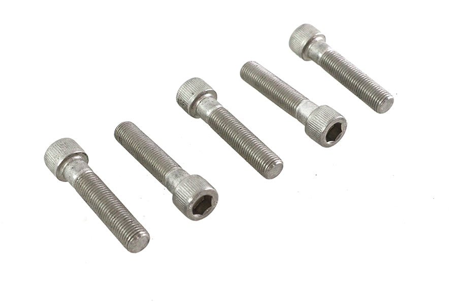 3/8-24 x 1-3/4" Allen Socket Cap Screw Stainless Steel