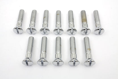 Chrome Cam Cover Stock Slotted Screws