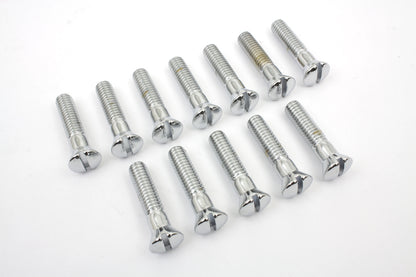Chrome Cam Cover Stock Slotted Screws