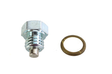 Magnetic Drain Plug with Brass Gasket