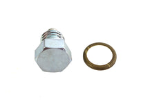 Magnetic Drain Plug with Brass Gasket