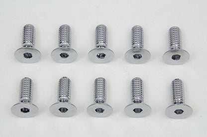 Chrome Allen Type Disc Screw