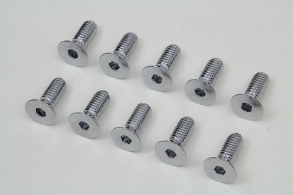 Chrome Allen Type Disc Screw