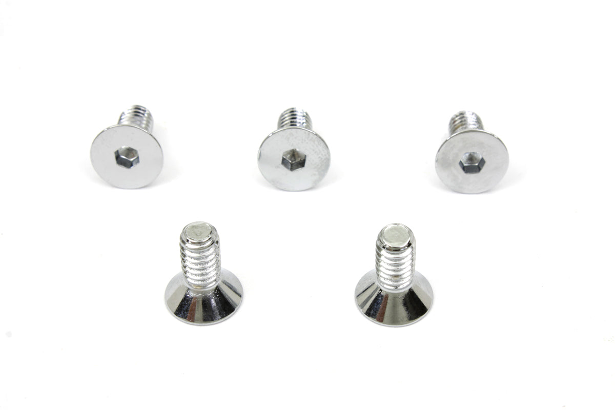 Chrome Allen Type Front Disc Screw