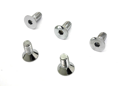 Chrome Allen Type Front Disc Screw